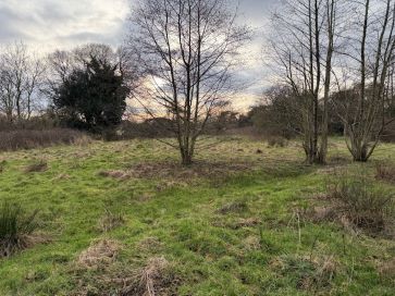 Property for Auction in East Anglia - Land Adjacent to Roughton Common, Thorpe Market Road, Roughton, Norwich, Norfolk NR11 8TA